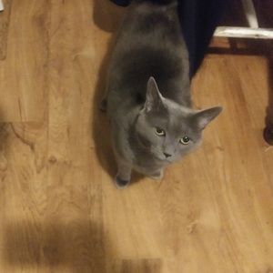 Meet your Posher, Kimberly